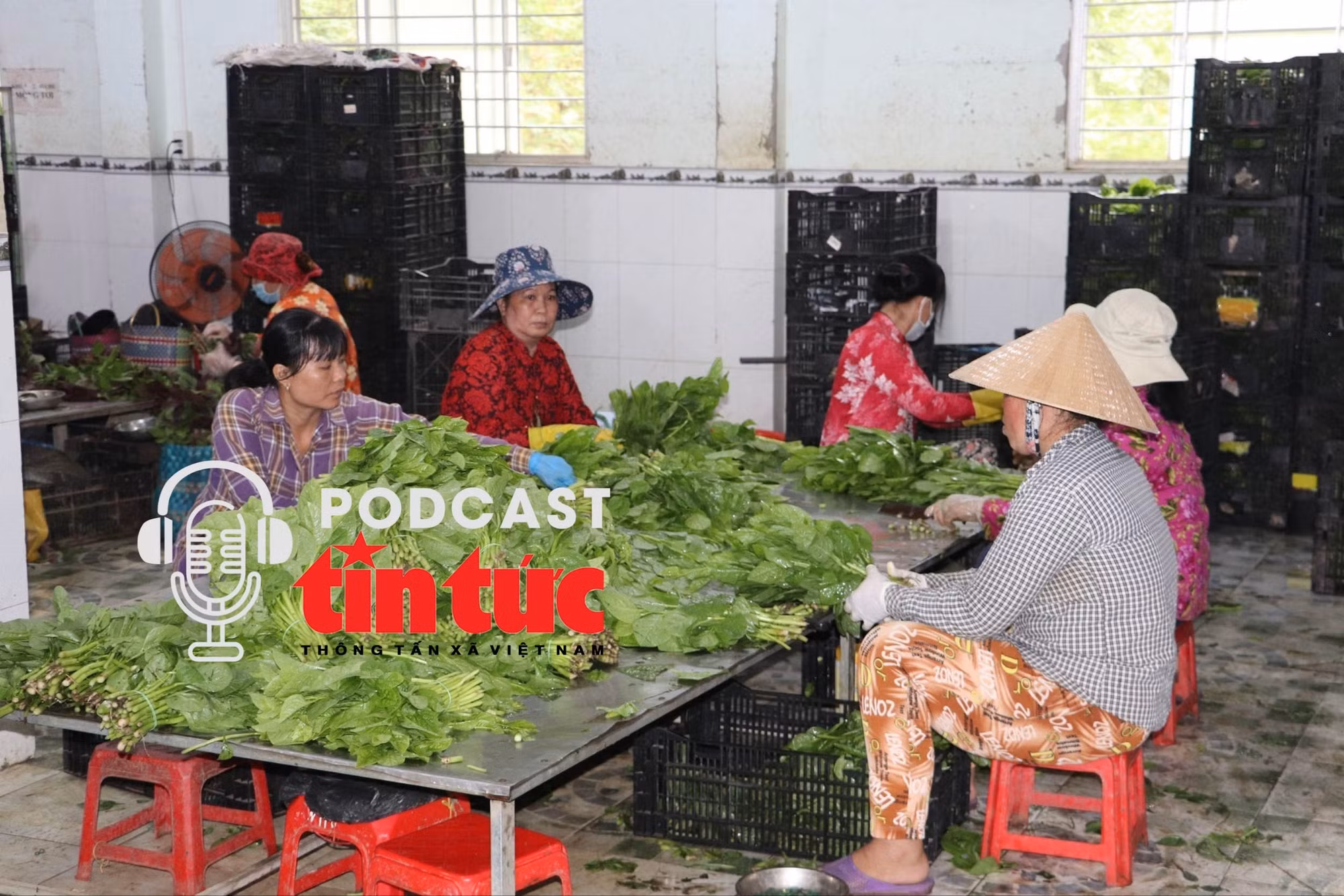 Tin nóng trong nước nghe nhanh sáng 21/11