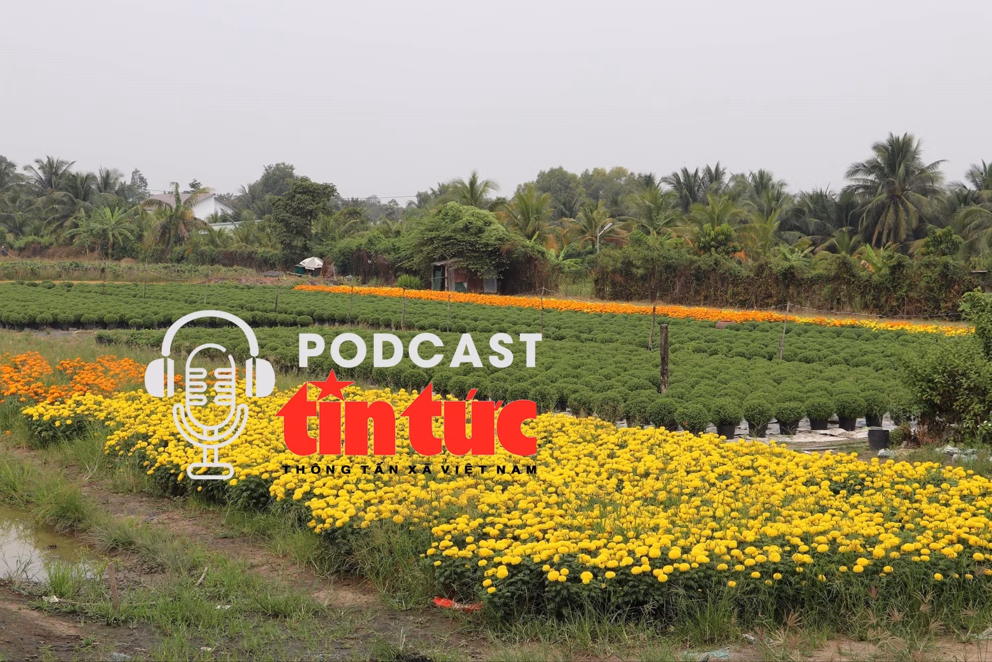Tin nóng trong nước nghe nhanh sáng 30/11