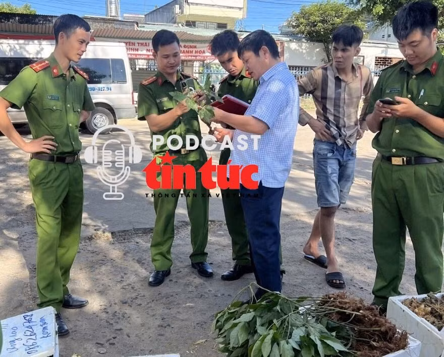 Tin nóng trong nước nghe nhanh sáng 20/12