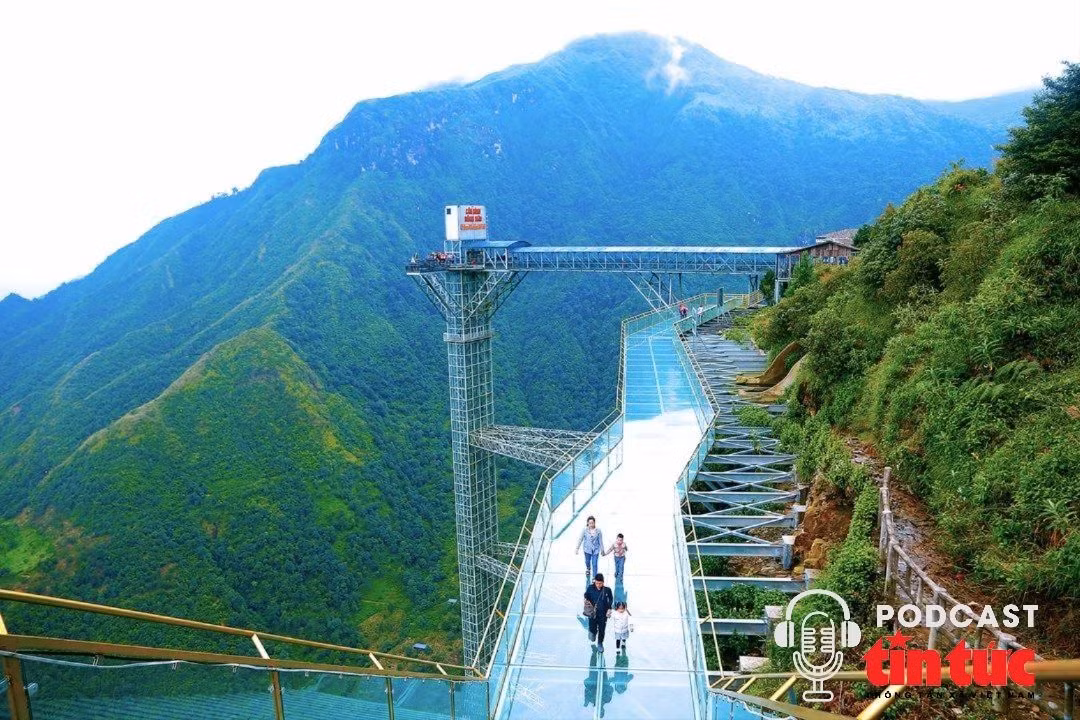 Vi vu Việt Nam: 'Cưỡi mây', tận hưởng thiên nhiên hùng vĩ từ Cầu kính Rồng Mây