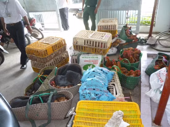 Truy xuất nguồn gốc thịt và trứng gia cầm để đảm bảo sức khỏe người dân ảnh 1