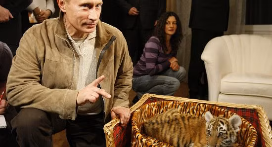 Tổng thống Hàn Quốc đưa ra so sánh bất ngờ giữa ông Putin và hổ Amur ảnh 1