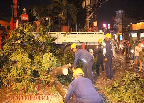 Cây cổ thụ đổ bất ngờ đè sập 4 căn nhà khiến 2 người bị thương ảnh 3