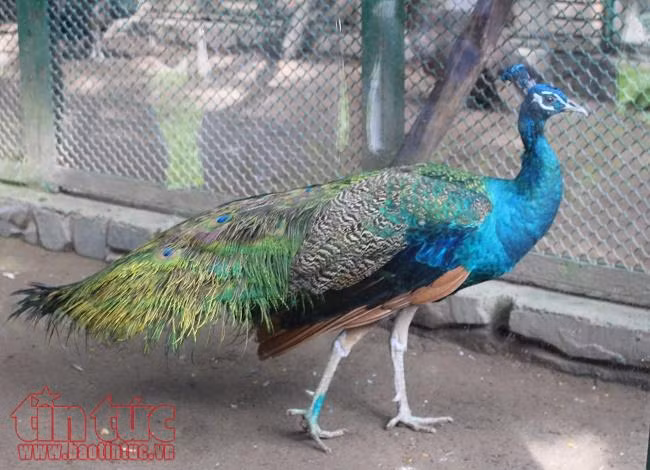 TP Hồ Chí Minh: Các điểm vui chơi đông nghịt ngày nghỉ lễ Quốc khánh 2/9 ảnh 2