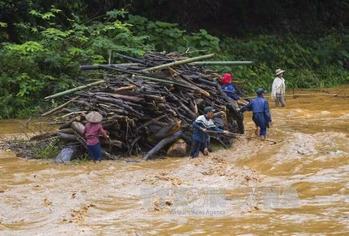 Người dân vẫn đánh cược tính mạng vớt củi trong lũ dữ ảnh 4