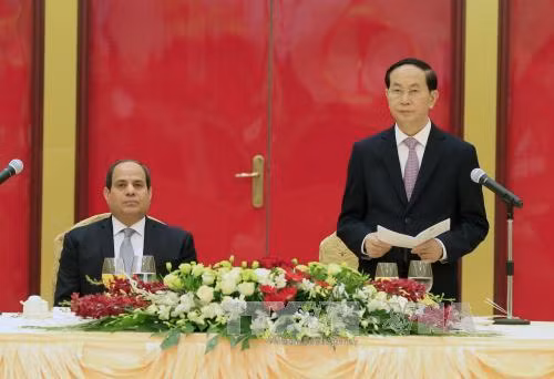 Chủ tịch nước Trần Đại Quang chiêu đãi trọng thể Tổng thống Ai Cập Abdel Fattah Al Sisi ảnh 1