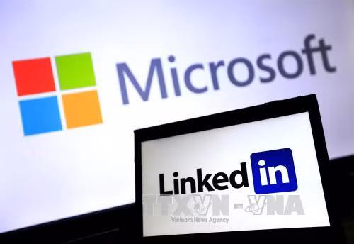 Microsoft sa thải 50.000 nhân viên ảnh 1