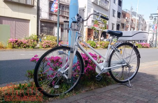 Xe đạp trong cuộc sống thường ngày ở Nhật Bản ảnh 2