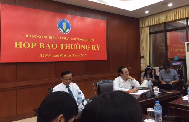 Tàu cá vỏ thép hư hỏng, trách nhiệm chính thuộc về các công ty đóng tàu ảnh 1