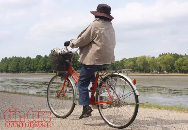 Xe đạp trong cuộc sống thường ngày ở Nhật Bản ảnh 15