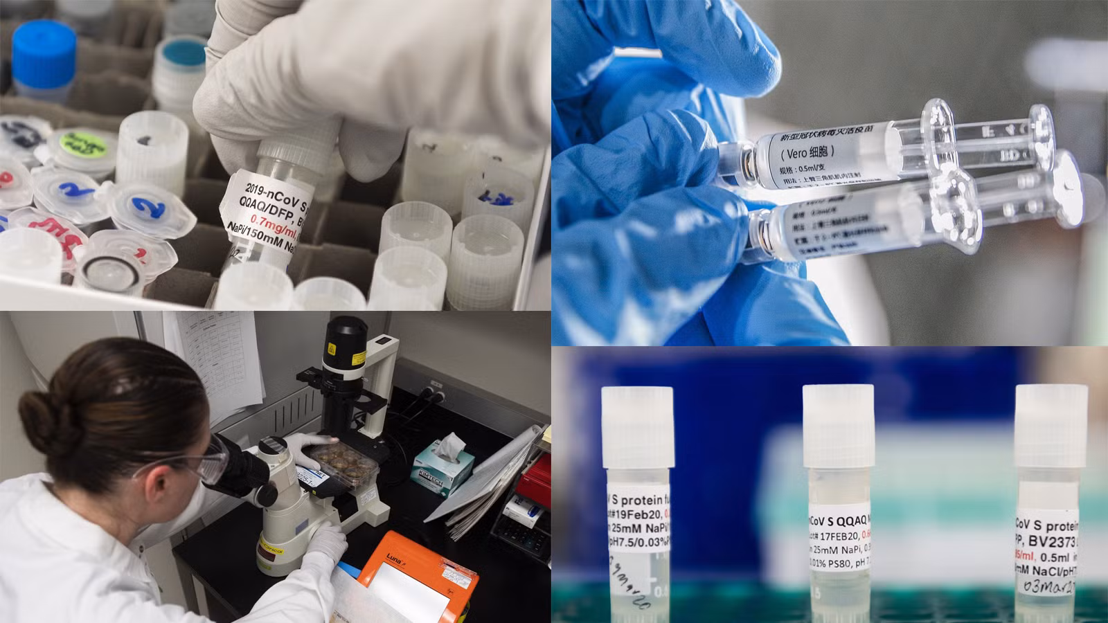 Toàn thế giới bước vào cuộc chạy đua sản xuất vaccine ngừa COVID-19. Ảnh: TTXVN