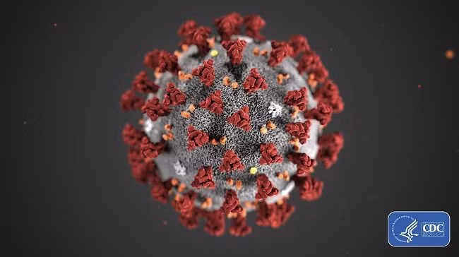 Hình ảnh minh họa virus SARS-CoV-2 gây bệnh viêm đường hô hấp cấp COVID-19. Ảnh: AFP/TTXVN