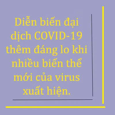 100 triệu người mắc COVID-19: Dấu mốc buồn của thế giới ảnh 16