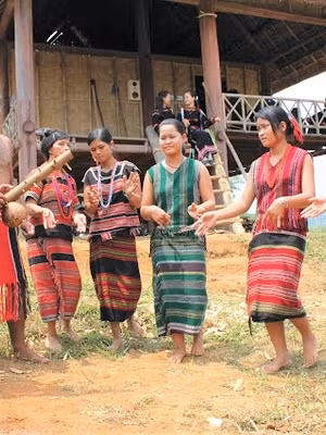 Dân tộc Brâu