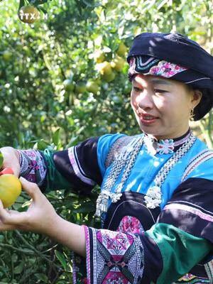 Dân tộc Bố Y
