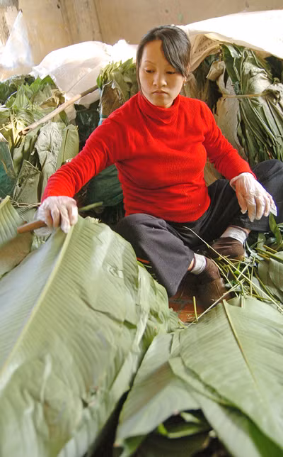 Làng gói bánh chưng vào vụ Tết ảnh 3