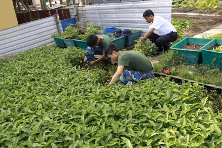 Những người lính hậu cần ở Trường Sa ảnh 1