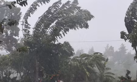 Tây Ninh cảnh giác mưa lớn, lũ sông Cửu Long lên báo động I