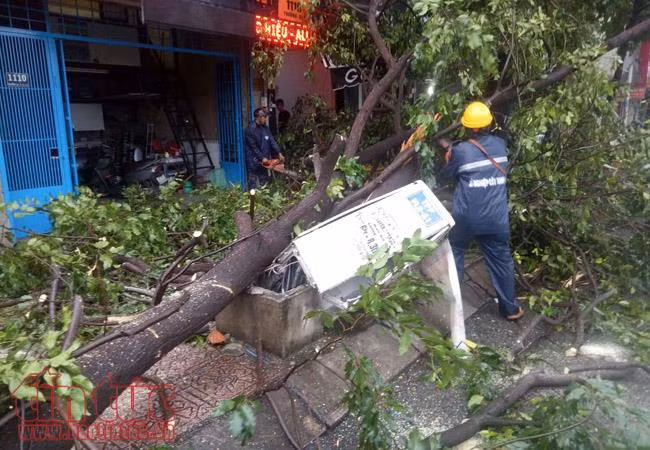Mưa lớn quật đổ biển quảng cáo đè chết người ở TP Hồ Chí Minh ảnh 7