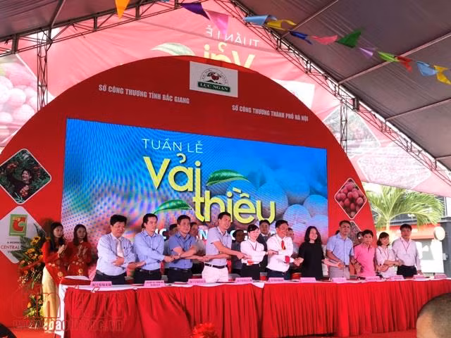 Sau vải thiều, nhãn lồng... nhiều đặc sản khác sẽ có mặt tại các siêu thị lớn ảnh 3