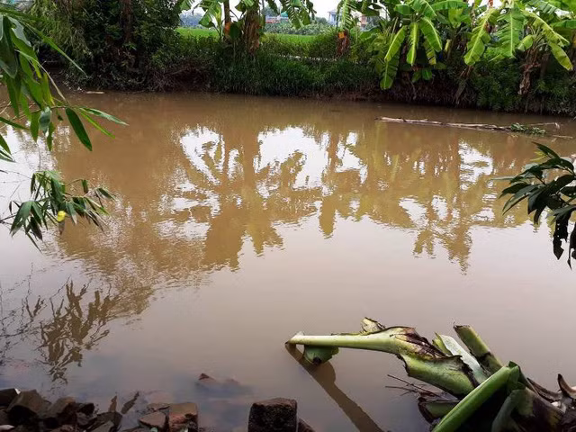 Em chồng vác dao chém chị dâu trọng thương ảnh 1