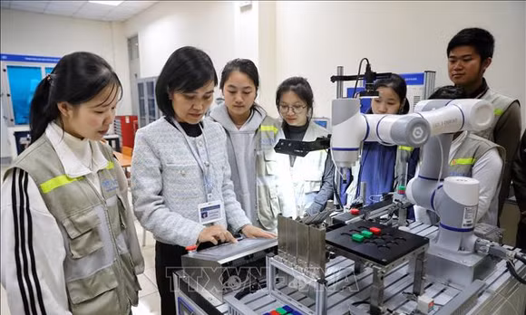 Ứng dụng tiến bộ khoa học công nghệ. Ảnh: TTXVN