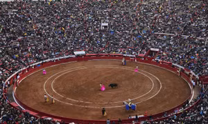 Lễ hội đấu bò được tổ chức trở lại tại Mexico sau thời gian bị cấm