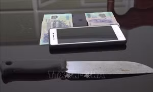 An Giang: Bắt nhanh đối tượng cướp tài sản của xe ôm trong đêm giao thừa