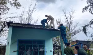 Ứng phó bão số 13: Đà Nẵng khẩn trương di dời dân, chằng chống nhà cửa
