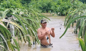 Bình Thuận: 200 hộ dân ở huyện Hàm Thuận Nam bị cô lập do mưa lũ