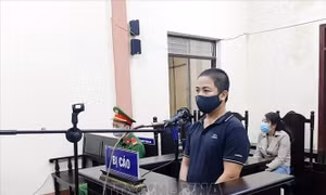 Tuyên phạt 6 tháng tù đối tượng tung tin sai sự thật liên quan đến phòng, chống dịch 