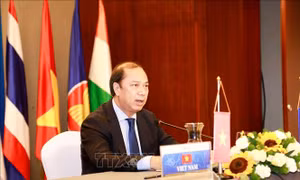 ASEAN 2020: Hội nghị Quan chức cao cấp (SOM) ASEAN-Ấn Độ lần thứ 22 theo hình thức trực tuyến