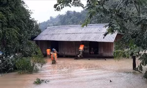 Quảng Bình: Đã tìm thấy thi thể 3 người mất tích khi đi rừng