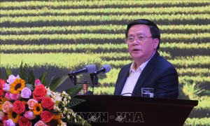 Đẩy mạnh liên kết phát triển vùng trung du và miền núi Bắc bộ 