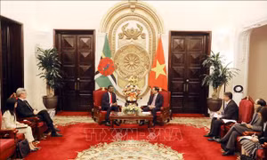 Tăng cường quan hệ song phương Việt Nam - Dominica 