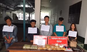 Biên phòng Kon Tum phối hợp với Công an Lào bắt vụ ma túy lớn