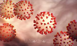 Độ ẩm có thể ảnh hưởng đến sự phân tán của các phần tử virus trong không khí