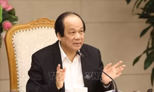 Bộ trưởng Mai Tiến Dũng: Tiến tới hạn chế ban hành thông tư