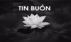 Tin buồn: Đồng chí Vũ Thị Hồng (tức Đinh Thị Hải) từ trần