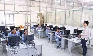 Lao động qua đào tạo tại Việt Nam có thống kê chính xác?