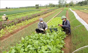 Xây dựng đối tác xanh cho nền nông nghiệp mới
