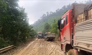 Sau phản ánh của TTXVN, Đà Nẵng dự kiến cải tạo, nâng cấp Quốc lộ 14D vào ngày 26/6