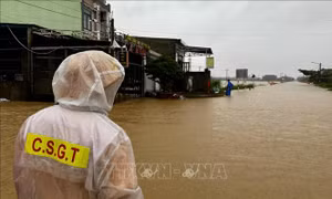 Các địa phương bị mưa lũ rà soát lại hệ thống đê để tu bổ đảm bảo an toàn