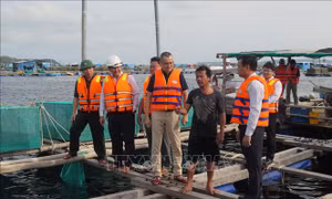 Lãnh đạo tỉnh Phú Yên kiểm tra các vùng xung yếu