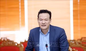 Việt Nam mong muốn đóng góp nhiều hơn vào thúc đẩy hòa bình, phát triển