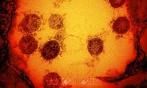 Nguy cơ xuất hiện những biến thể nguy hiểm mới của virus SARS-CoV-2