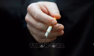 WHO: Số người hút thuốc lá trên toàn thế giới có xu hướng giảm
