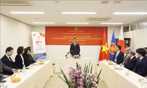 Chủ tịch nước thăm Đại sứ quán và gặp gỡ đại diện các thế hệ người Việt Nam tại Nhật Bản