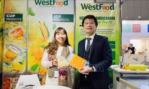 Thương vụ Việt Nam tại Australia lưu ý các nguy cơ về gian lận thương mại khi giao dịch quốc tế
