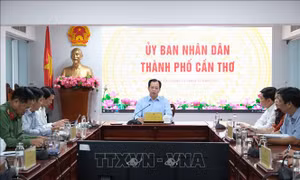 Cần Thơ thận trọng khi phát triển điện gió tại Cù Lao Dung